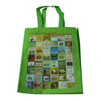 邯郸LB11覆膜无纺布广告袋